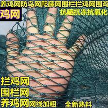 2021 new 100 m Poultry raising chickens nets Chicken Nets Breeding Nets Vegetable Garden Mesh Fence Netting of Chicken Nets Anti-Chicken