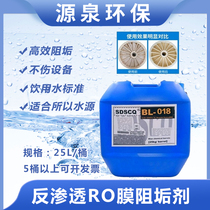 Reverse osmosis scale inhibitor RO film dedigestive pure water treatment equipment industrial equipment cleaning corrosion resistant
