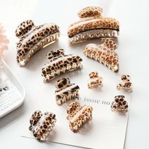 Hairpin after hairpin BAO WEN large number of disc hair clamping and bath clip top clip Liu Haifa Card small number of hair clip head decoration