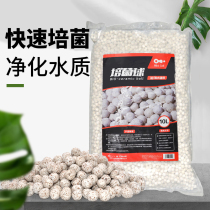 AC filter material bacteria quartz ball fish tank filter system aquarium special fish pond bottom filter nitrification bacteria House Nano