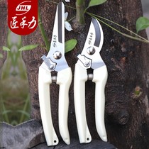 Durable Stainless steel Pruning Twigs Flower branches Fine Twigs Garden Tools Scissors Succulents Flower Trimming Shears