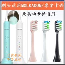 Electric Toothbrush Head for Molkadan MK07 10 05 Children Adult Sonic Replacement Universal Gingiva Clean
