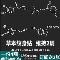 Tattooed sticker small freshens wines Waterproof Persistent Lines Lock Bones Cute Nets Red Male And Semi-permanent Herbal juices