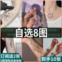 Self-selection of 8 herbal linen juice tattooed with female male waterproof persistent arm semi-permanent sensation High sense flower arm