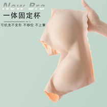 Unmarked polymerized vested vested vest-free coils and subcutaneous pituitary fixing cup underwear female sports