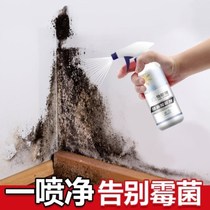 Old wall moldy renovation mildew removal spray a spray to remove mildew removal artifact ceiling wall household white wall mildew prevention