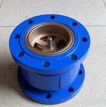 H41X-10 16 carbon steel cast iron flange extrusion check valve DN50 80 100 150 200 250 300
