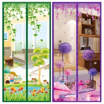 Anti-cat door curtain partition curtain Net red ins wind anti-mosquito privacy model sound insulation super sound insulation magnetic windshield Household