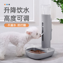 Dog drinking water machine not wet mouth hanging kettle feeding water feeding pets pelvis pot cat automatic drinking machine