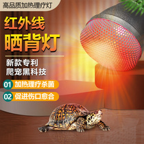 Turtle Sun Back Light Insulation Sunlit Lizard Lizard Tortoise Heating Reptiles Tonic Calcium Bulb Pet Heating Light Bird Cage