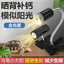 Turtle Sun Back Light Full Spectrum Insulated Lamp Uvb Reptiles Light Bulb Heating Light Turtle Light Turtle Light Back Light Turtle Light