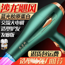 German Hair Salon High Power Hairdryer Home Hairdresshop Special 3000w negative ion protective power blow wind speed dry
