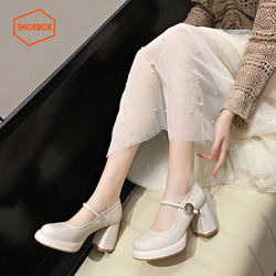 Daphne's shoe cabinet Mary Jane women's shoes high heels 2024 summer new style retro one-word thick heel women's single shoes