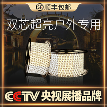 LED light strip three-color new double-row color-changing outdoor waterproof high-brightness energy-saving lamp with roof silicone soft light strip