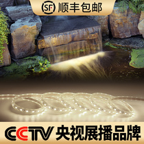Neutral light LED light strip 24v low voltage waterproof fish pond light underwater light strip linear embedded decorative neon light
