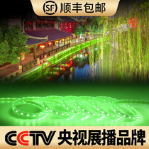 Green light strip Outdoor waterproof lighting light strip Plant modeling light Landscape floor Corridor floor foot ground linear light
