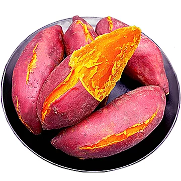 新鲜红薯西瓜红糖心蜜薯地瓜农家自种番薯[4元优惠券]-寻折猪