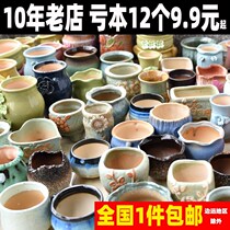 Net Red Flower Pot Year Flower Pots New Year of New Year Special Hall Flowers Green Plant-looking Balcony Cactus Ball Creative Personality