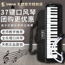 Swan full music management organ 37 key students use beginner children's introductory teacher to teach professional performance level