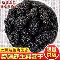 Shunfeng air transport fresh Xinjiang wild black mulberry dry sand no wash 500g Mulberry pure natural super big fruit