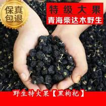 Authentic Wild Black wolfberry Ningxia Chaidamu super first stubble selection of large fruit Black wolfberry 500 grams 2 cans