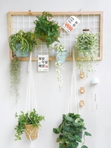Malt Forest Grid Flower Stand Plant Matching Package Balcony Indoor Wall Hanging Decorative Flower Potted Plant