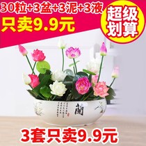 Lotus Lotus hydroponic plants flower indoor flowering seasons constantly soilless curing in water plants potted