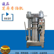 Vertical hydraulic sesame oil Machine household iron walnut Almond Press oil workshop medium and large automatic oil Press