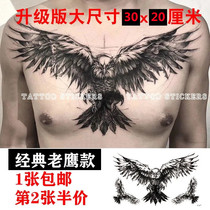 Tattoo stickers chest big picture waterproof male lasting personality simulation tattoo back eagle dark sticker