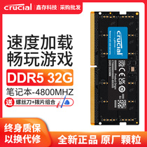 British Ruida notebook memory bar DDR5 16G 32G 64G computer game running memory bar Spotlight 4800