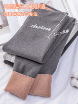 2021 autumn and winter plus velvet thickening and lengthening leggings womens pure cotton rabbit velvet womens outer wear high waist slim and tall pants