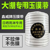 Greenhouse Pressure Film Line Press Membrane Rope Polyester Wire Press Membrane With Fixed Polyester Polyester Polyester Wire Press Membrane With Press Membrane Rope Woven Belt