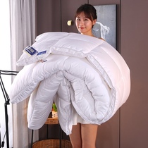 Luxurious Fuannah Home Spinning Down Quilt 95 White Goose Down Winter Quilt Core Thickened Single Double Spring Autumn Gift Quilt