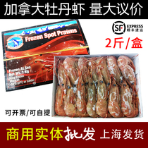 Canada Peony Shrimp Sashimi 25-33 Large Shrimp 1000g Commercial imported Seafood Aquatic Wild Frozen Spotted Shrimp