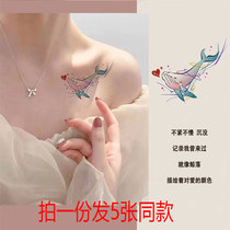 Waterproof woman persistent wrist wrist sinking love whale tattoo with small fresh cute cartoon sense