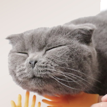 Roll cat small finger set funny cat toy shake sound with the same net red roll cat artifact gloves Rubber silicone funny play