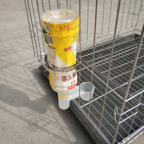 Pigeon drinking fountain Drinking head Plug-in drinking fountain