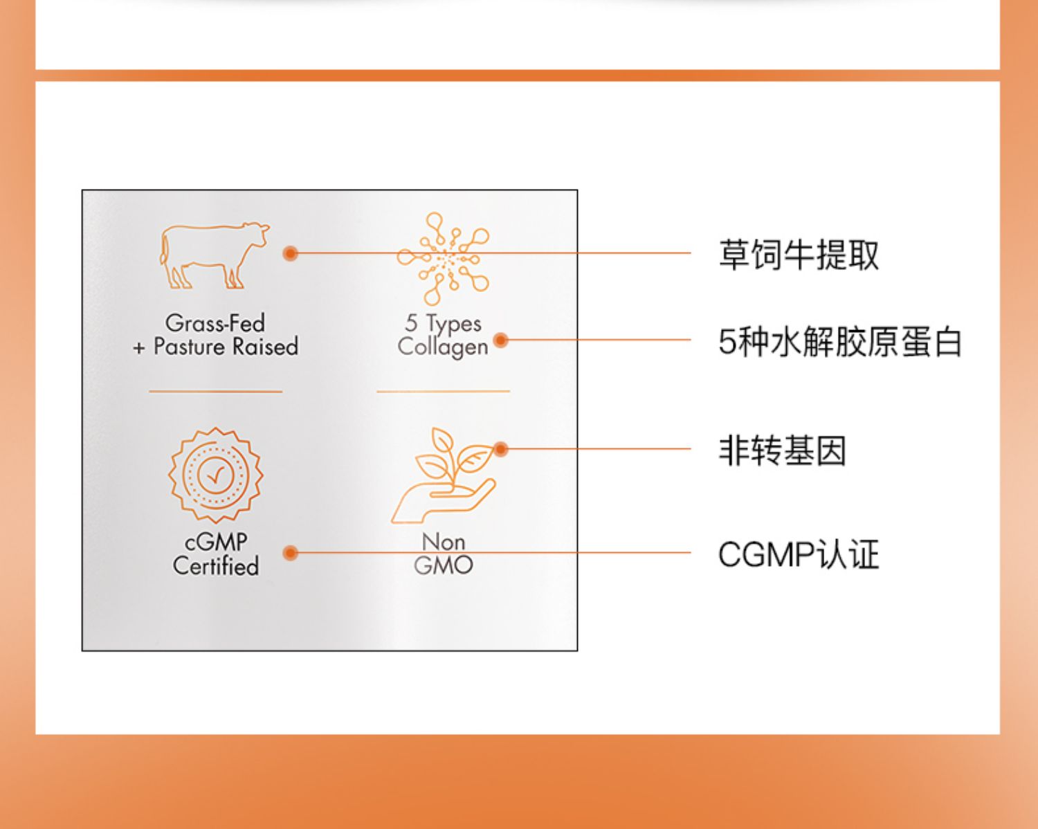 Codeage5合1复合水解胶原蛋白肽252g