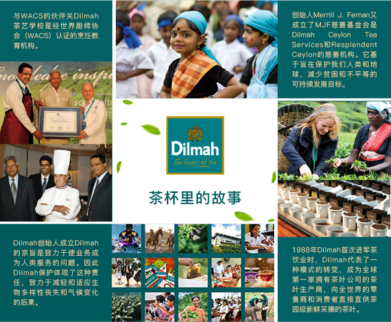 【50包】Dilmah迪尔玛原味红茶锡兰茶包