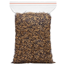 Chen Yifan Jin Junmei Super Black Tea Honey Flavor New Tea Wuyishan Tea Bulk 250g