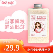 Complementary food companion Tian Hetian grain Fresh small grain germ rice 450g