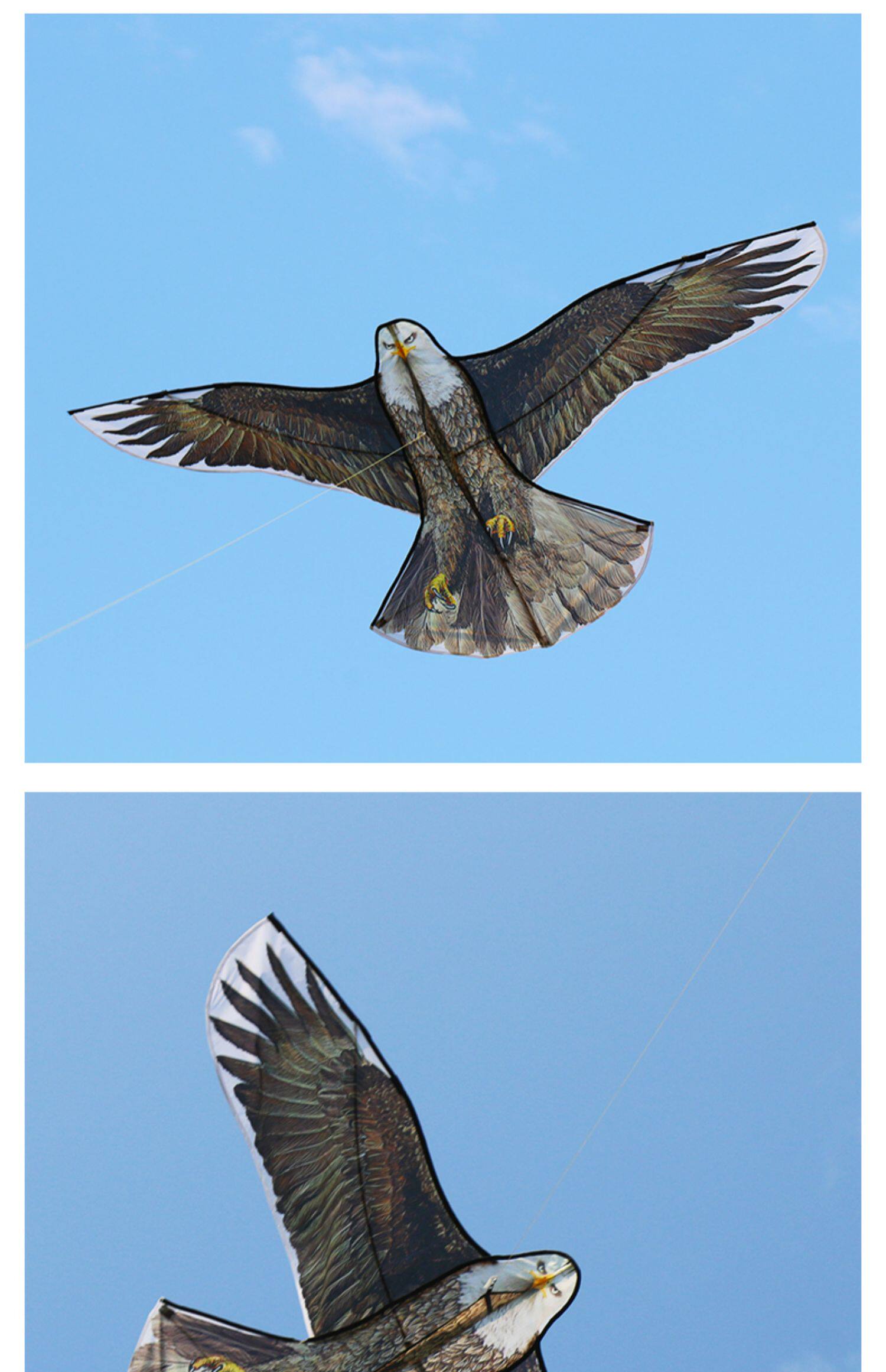 老鹰风筝成人大人2022年新款儿童卡通微风易飞抗大风