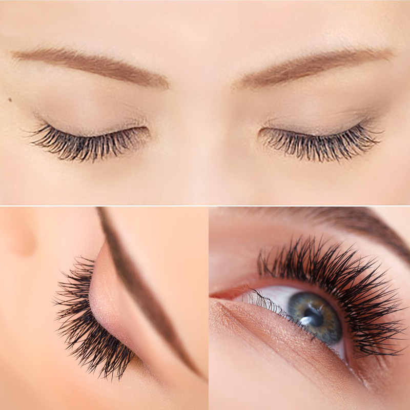 (5盒送一盒)嫁接假睫毛种植睫毛单簇眼毛朵毛浓密自然手工_折222网