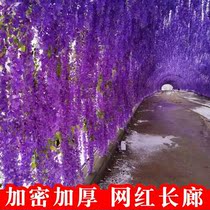 Simulation of wisteria flower bean string violets plastic silk flower decorative vine plant flower wedding fake flower Rattan
