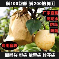 Bag set pear special bag with peach special bag double outer yellow inner black gold pear bagged peach waterproof and insect repellent