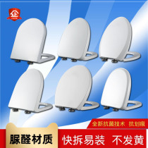 Universal Duffini toilet cover toilet cover household old pump toilet screw accessories toilet ring damping