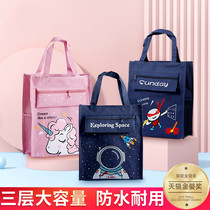 Cat Taiko Elementary School Children Handbag Carrying bags Handbags Handbags Canvas Fine Art Remedial Classes Carry-on Bags Sub-Secondary School Students Children Girls Large Capacity Triple Zipped Kits