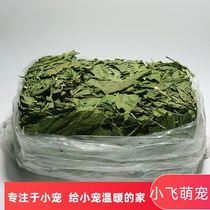 21 Years Dried Chicory New Grass Rabbit Dragon Cat Sheep Camel Grass Nutrition Gain blush and a catty