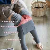 Thick leggings women wear high waisted autumn and winter cotton slim winter gray plus velvet thread warm autumn pants fish bone Cotton