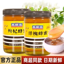 Zhous honey nourishing honey farm foreign sophora honey 1100 grams of medlar date flower pure natural 100 flower honey farmhouse native honey